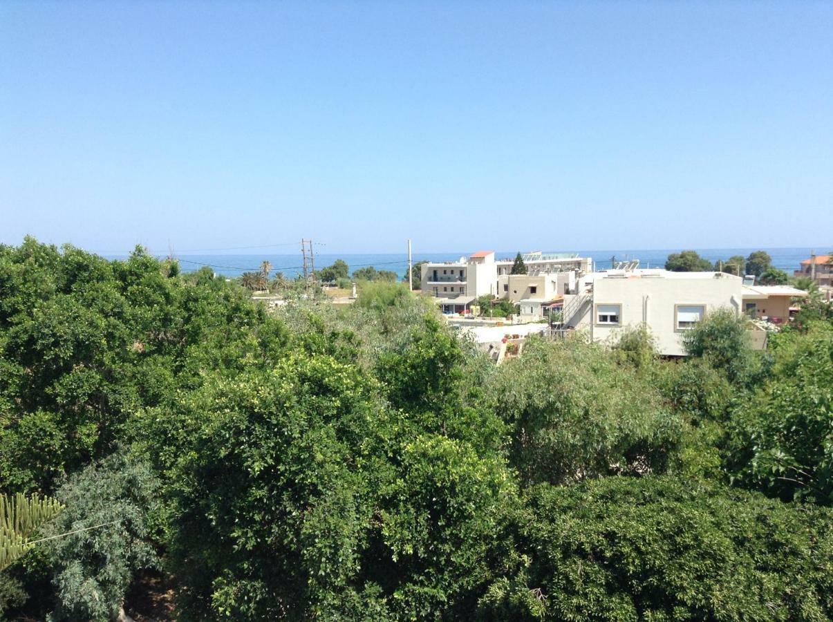 Arokaria Holiday Houses Platanes  Bagian luar foto
